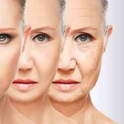 istockphoto-516282921-170667a (2) (1) (1)
